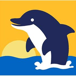 kit Canevas - Gros trous Margot dauphin sur la mer