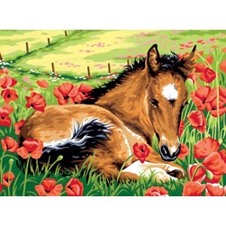 Canevas Margot Les coquelicots et le poulain
