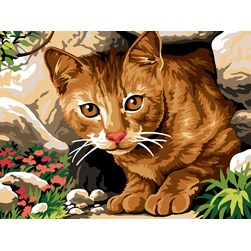 Canevas Margot Chat roux dans sa grotte