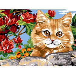 Canevas Margot Le chaton du muret