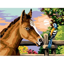 Canevas Margot Amitié d'un oiseau et d'un poulain