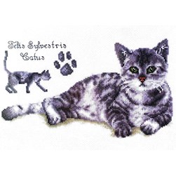 kit Point de croix Vervaco Empreinte de chat