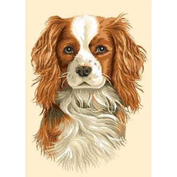 Canevas Luc Création Cavalier King Charles