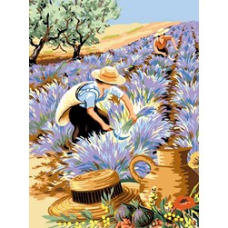 Canevas Luc Création Paysanne et champs de lavande