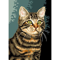 Canevas Luc Création Le regard curieux du chat européen