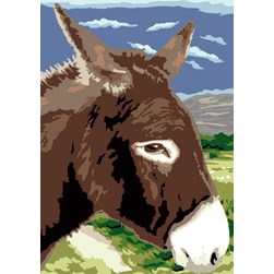 Canevas Luc Création L'âne de nos campagnes