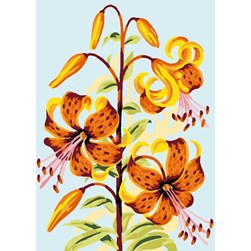 Canevas Luc Création Fleurs de Lys jaunes