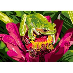 Canevas Luc Création Grenouille sur la fleur de lotus