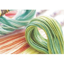 Fils DMC Echevette mouliné color variation Art 417