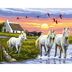Canevas Rafael Angelot Chevaux de camargue