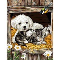 Canevas Rafael Angelot Chaton et chien dans le foin