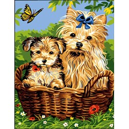 Canevas Rafael Angelot Tendres yorkshires dans le panier