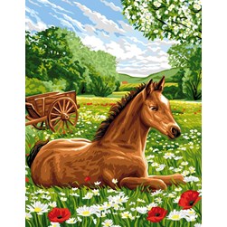 Canevas Rafael Angelot Le poulain du pré