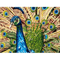 Canevas Luc Création La fierté du paon