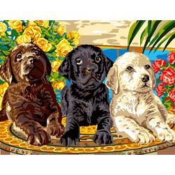 Canevas Luc Création Labradors ticolores