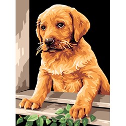 kit Canevas - Petits trous Royal Paris Le labrador de la maison