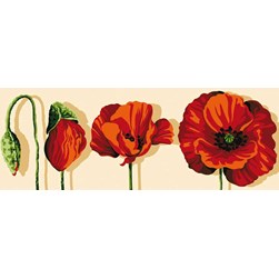 Canevas Margot Cycle d'un coquelicot