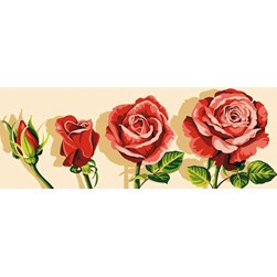Canevas Margot Cycle d'une rose
