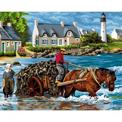 Canevas Luc Création Une récolte de goémons