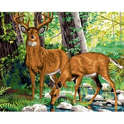Canevas Luc Création LE cerf et la biche de la rivière