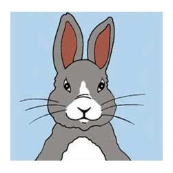 kit Canevas - Gros trous SEG Monsieur Lapin