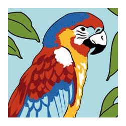 kit Canevas - Gros trous SEG Parole de perroquet