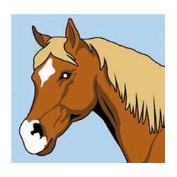 kit Canevas - Gros trous SEG Le cheval marron au regard tendre