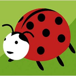 kit Canevas - Gros trous SEG Coccinelle