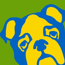 kit Canevas - Gros trous SEG Chien bicolore fluo