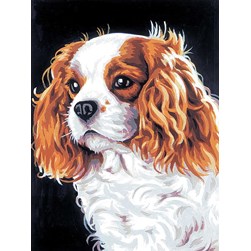 Canevas Margot Le cavalier King Charles