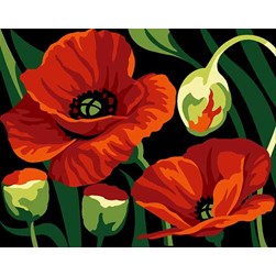 kit Canevas - Petits trous Margot Coqulicots éphémères