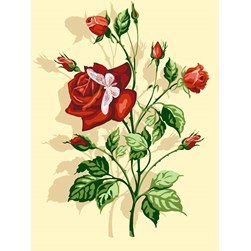 Canevas SEG Papillon blanc sur la rose rouge