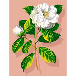 Canevas SEG La grâce du camélias blanc