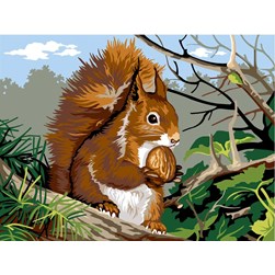 Canevas SEG L'écureuil et la noisette