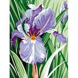 Canevas SEG Iris au sein des herbes