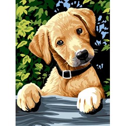 Canevas SEG La surprise du labrador