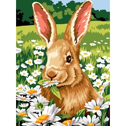 Canevas SEG Lapin dans un champ de marguerittes