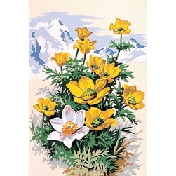 Canevas SEG Fleurs montagnardes
