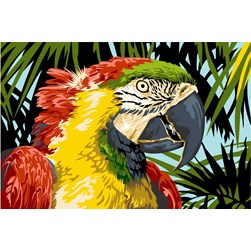 Canevas SEG Perroquet paradisiaque