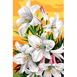 Canevas SEG Amaryllis au soleil