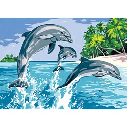 Canevas SEG Jeux des dauphins de l'île