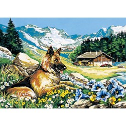 Canevas SEG Vue sur la vallée