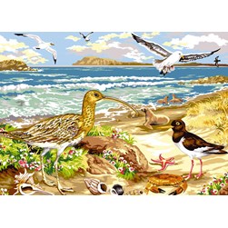 Canevas SEG Les oiseaux marins