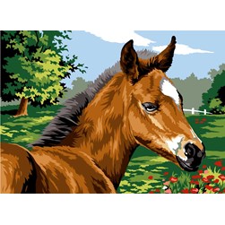 Canevas SEG Crinière du poulain au vent