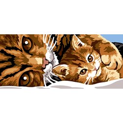 Canevas SEG Je protège mon chaton