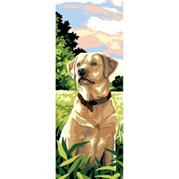 Canevas SEG Labrador dans la prairie