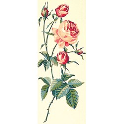 Canevas SEG Branche de roses