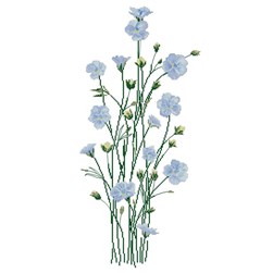 kit Point de croix Aux 4 Points Du Monde Douces fleurs de lin