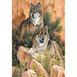 Broderie diamant Diamond Painting Les loups du rocher