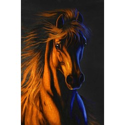 Broderie diamant Diamond Painting Cheval de feu